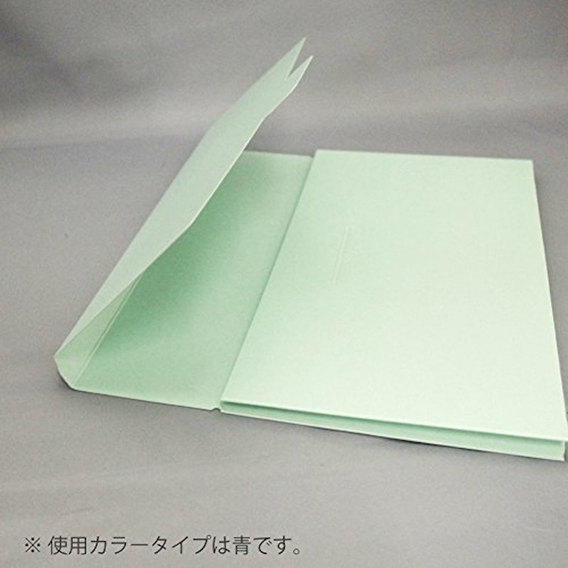 ケースファイル 高級色板紙A4縦 5