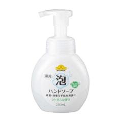 イオン トップバリュベストプライス 薬用泡ハンドソープを全40商品と比較 口コミや評判を実際に使ってレビューしました Mybest イオン トップバリュベストプライス 薬用泡ハンドソープを全40商品と比較 口コミや評判を実際に使ってレビューしました Mybest