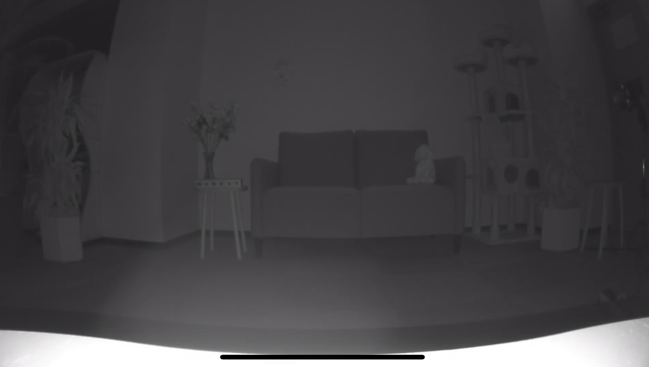 Indoor Cam 3