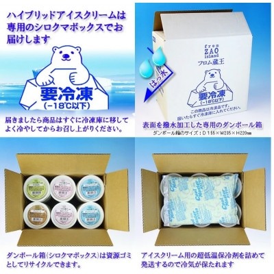 フロム蔵王 Hybrid NEO スーパーマルチアイスBOX 4