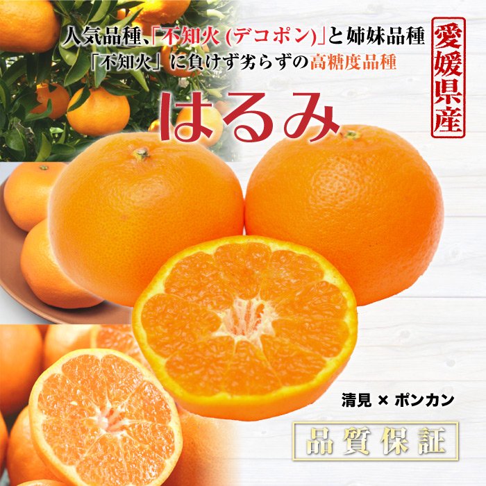 はるみ 2