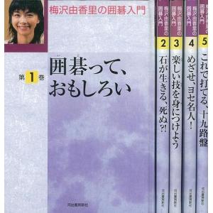 初歩の囲碁入門 序盤・中盤・終盤のポイント / 著者 石田秀芳 / 文研出版 初歩の囲碁入門 序盤・中盤・終盤のポイント ⁄ 著者 石田秀芳 初歩の