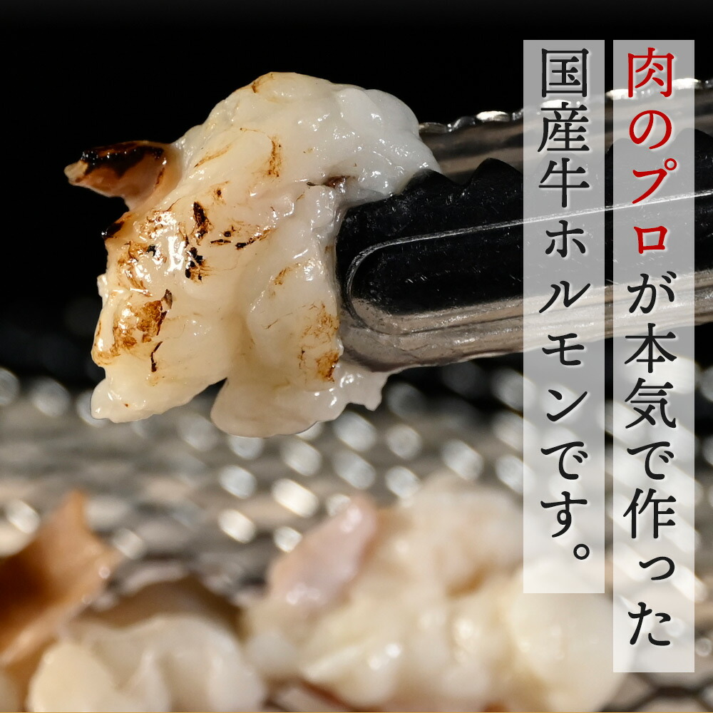 国産牛 ホルモン 4