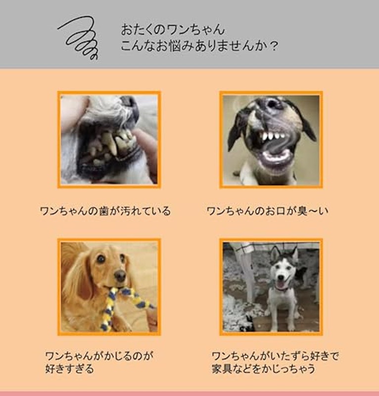 コットンガブボーン 3