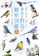 ナツメ社 探す、出あう、楽しむ 身近な野鳥の観察図鑑 1