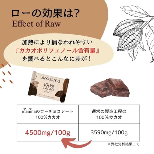 100％ Cacao Paste Bar 4