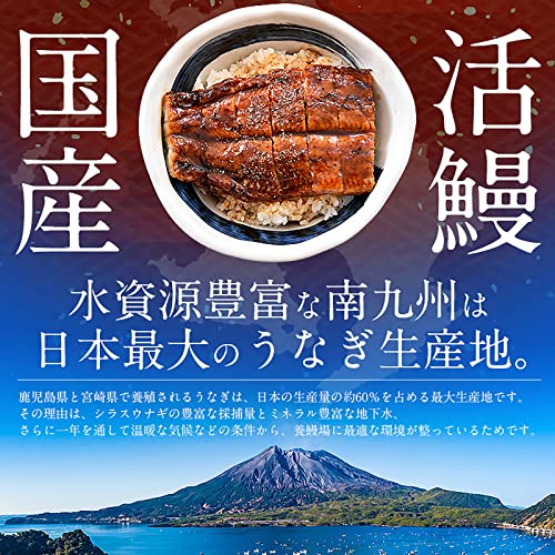 無頭うなぎ蒲焼き 5