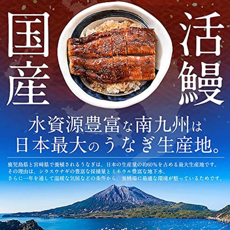 無頭うなぎ蒲焼き 5