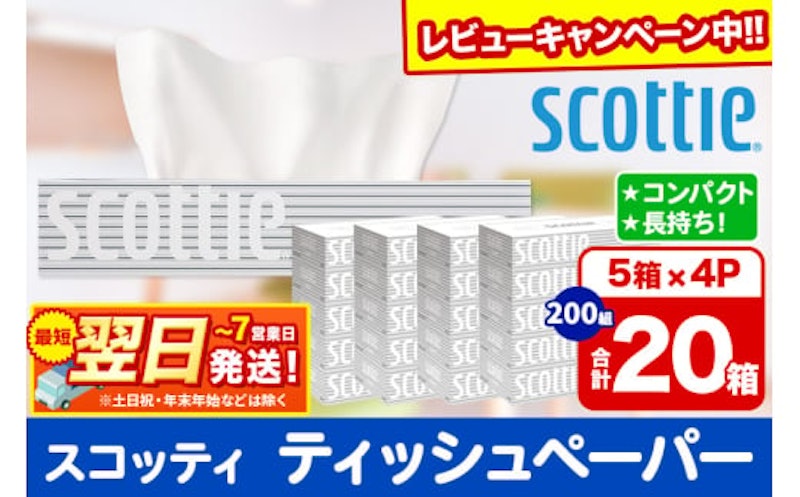 スコッティ ティシュー 1