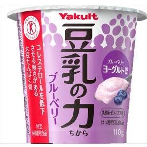ブルーベリー 1