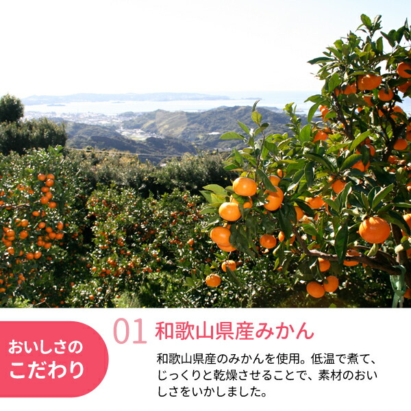 ドライフルーツみかん 2