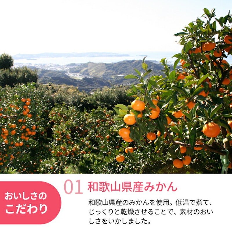 ドライフルーツみかん 2