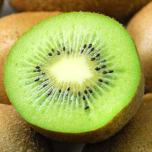21年 お取り寄せキウイのおすすめ人気ランキング10選 Mybest