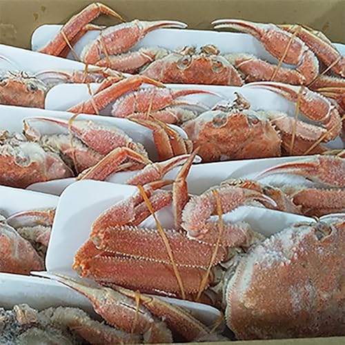 通販で買える3kgのカニのおすすめ人気ランキング【2026年5月】 | マイ