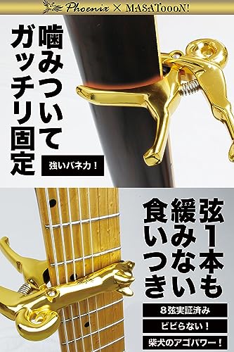 柴犬 カポタスト 3