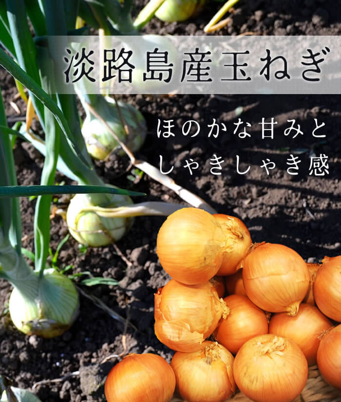 玉ねぎみそ汁 2
