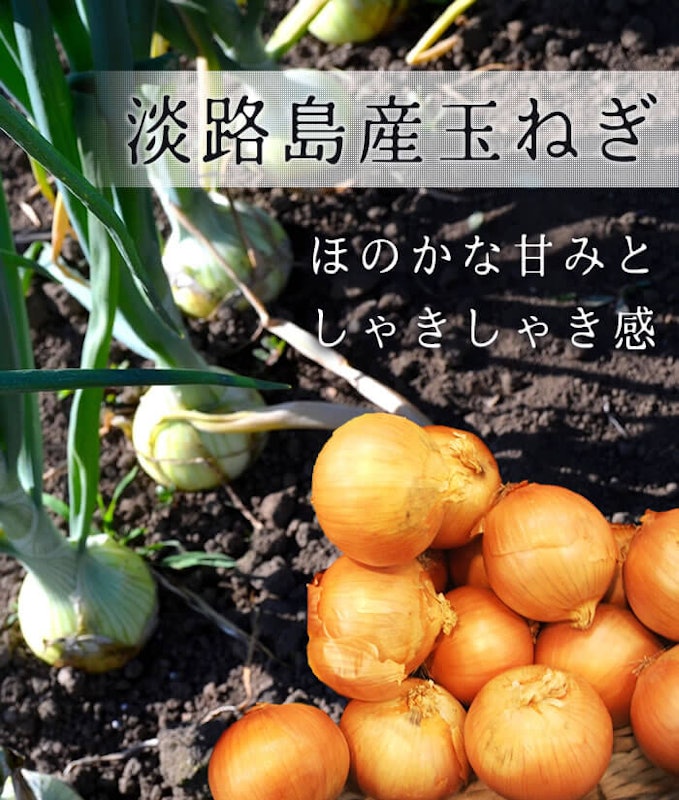 玉ねぎみそ汁 2