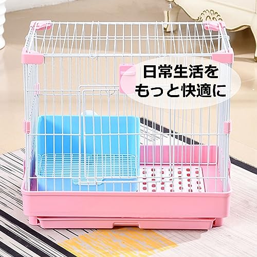 うさぎトイレ 6