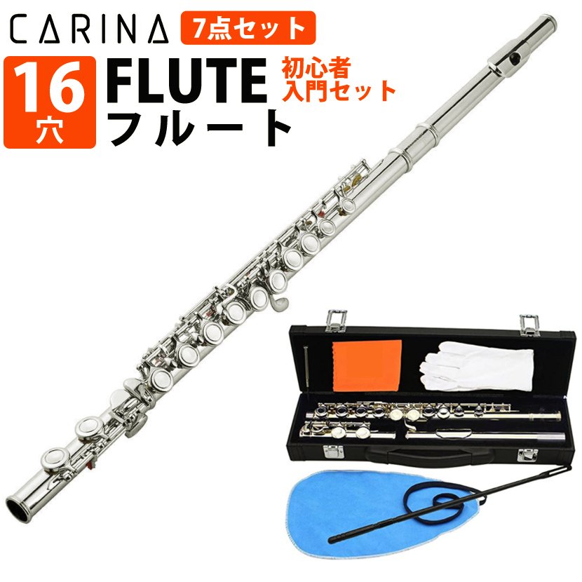 美品】Carina カリーナ フルート 管楽器 ケース付き 音楽 初心者 入門