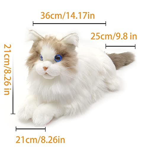 metaCat 2