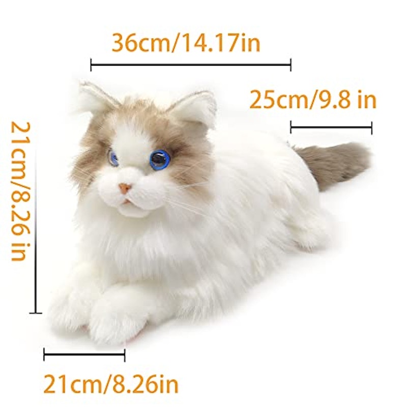 metaCat 2