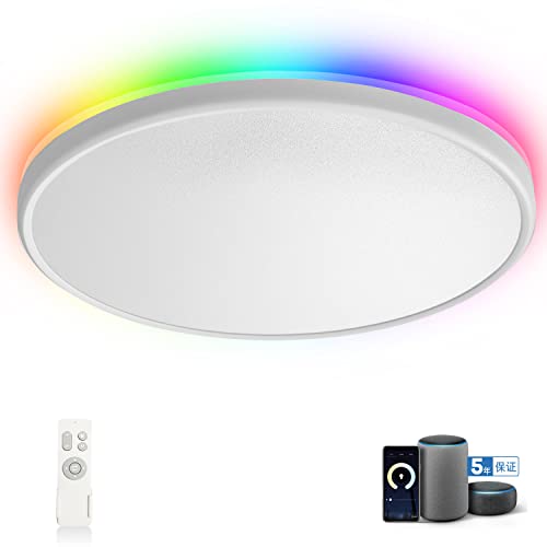 LEDシーリングライト 1