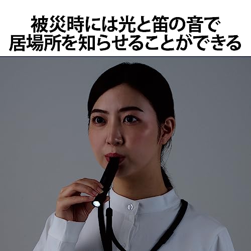 防災 乾電池式懐中電灯 笛タイプ 5