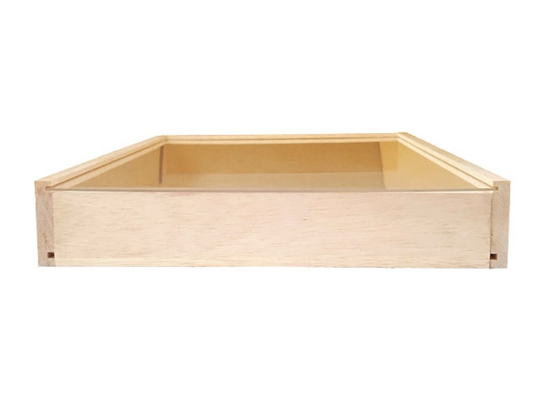 完成品 標本箱 2