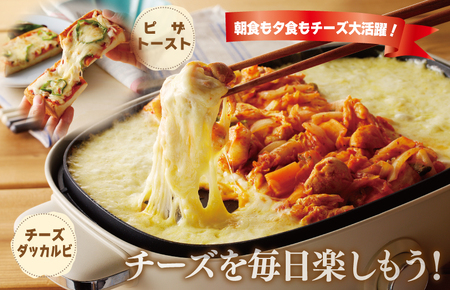 ムラカワチーズ 人気チーズ 3種セット 3