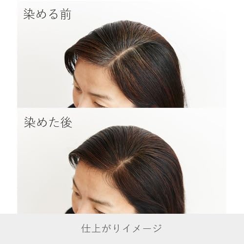 ヘナ+木藍 茶 2