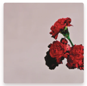 All of Me 1