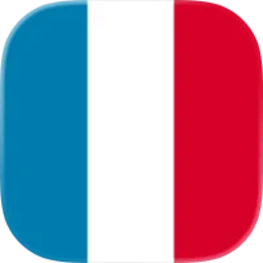 フランス語翻訳 1