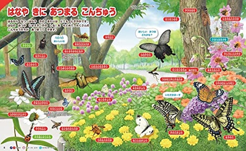 講談社の動く図鑑MOVE はじめてのずかん こんちゅう 4