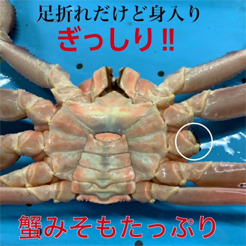 松葉ガニ 足折れ 2