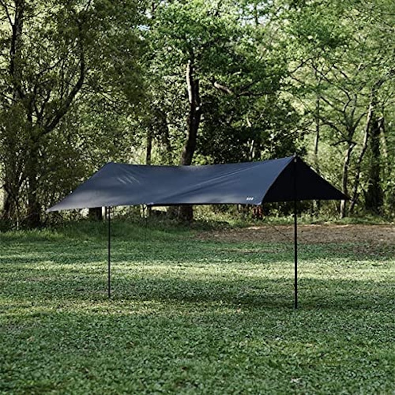 RAPIDE TARP 1