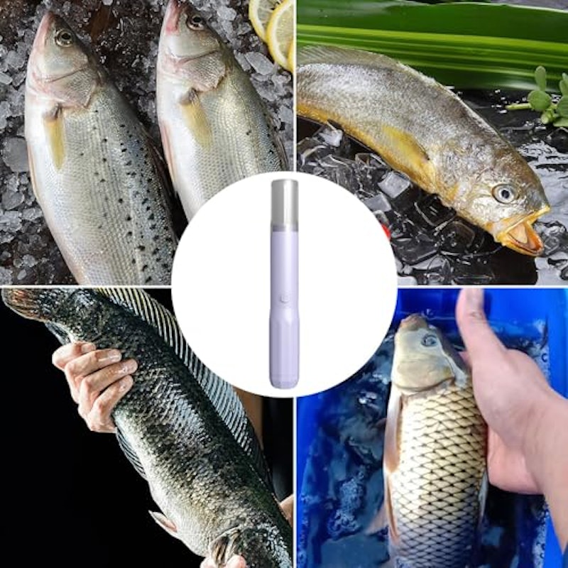 電動魚の鱗取り 3