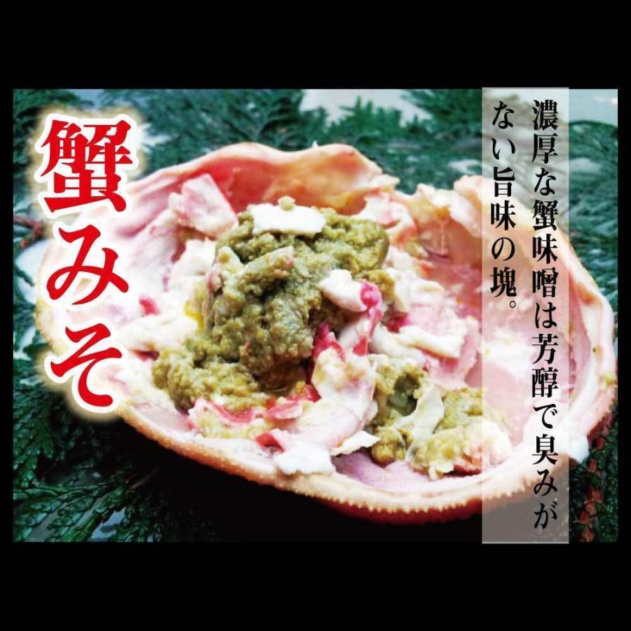 浜茹で越前がに 4