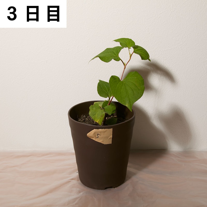 一刀両断 6