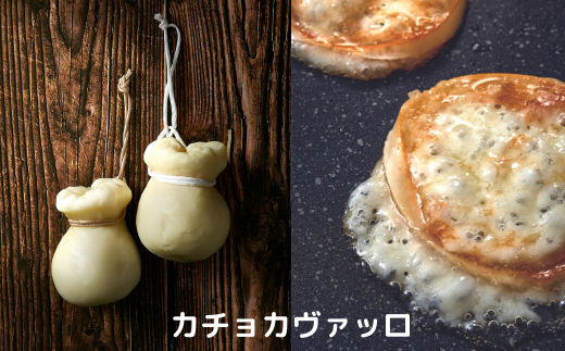 ひたちおおたチーズ工房 ナチュラルチーズ4種セット 5