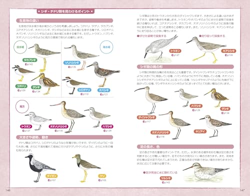 ぱっと見わけ 観察を楽しむ 野鳥図鑑 増補改訂版 3