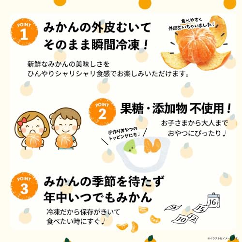 わけあり 冷凍みかん 4