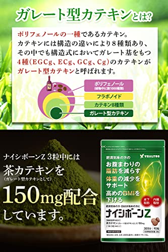 ナイシボーンZ 6