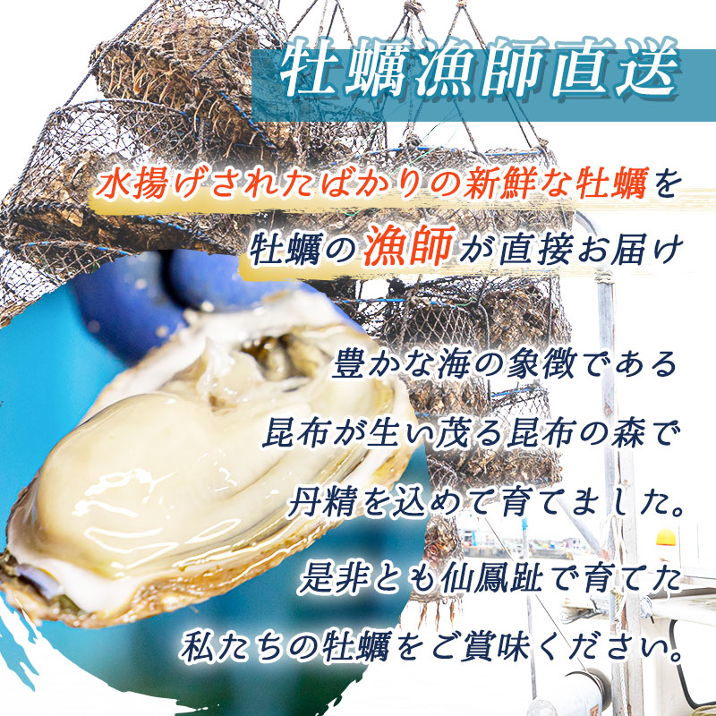 仙鳳趾名産 牡蠣  3
