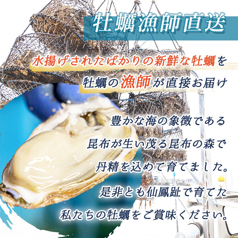 仙鳳趾名産 牡蠣 3