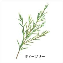 ティーツリー＆アルガン＆米ぬか純石鹸 2