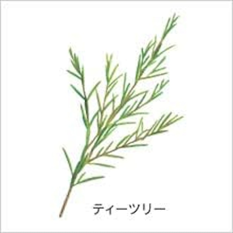 ティーツリー&アルガン&米ぬか純石鹸 2