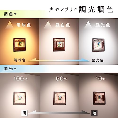 エジソンスマート ミニスポットライト 5