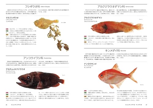 日本の深海魚図鑑 6