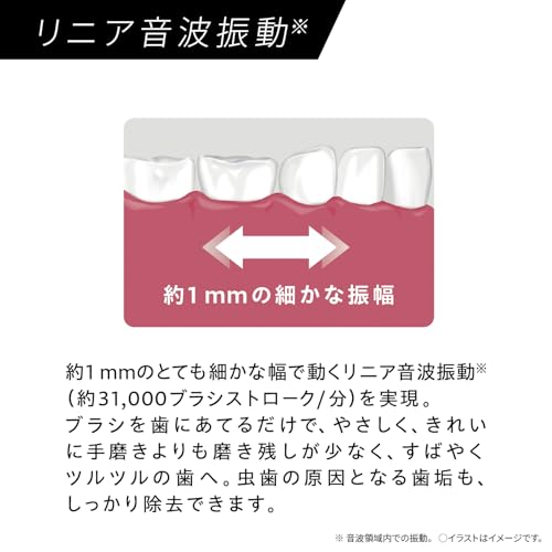 音波振動ハブラシ ドルツ 3