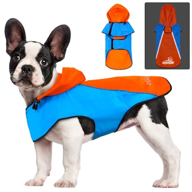 犬 レインコート 1